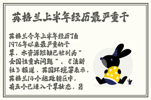 696969大但人文艺术 MBA智库